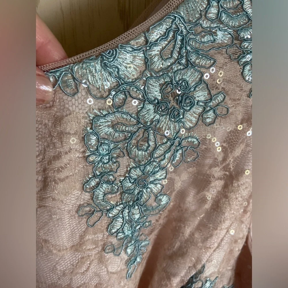 Adrianna Papell Cocktail Dress Blush Pink Baby blue Lace Fit & Flare Sz 18 READ